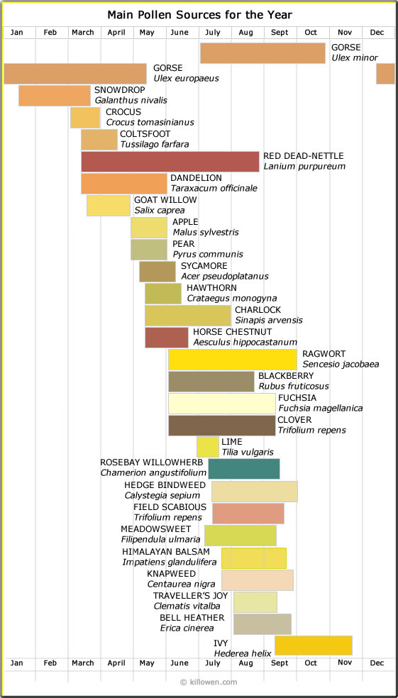 Pollen Chart A Visual Reference of Charts Chart Master
